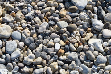 Fototapeta na wymiar cailloux sur la plage
