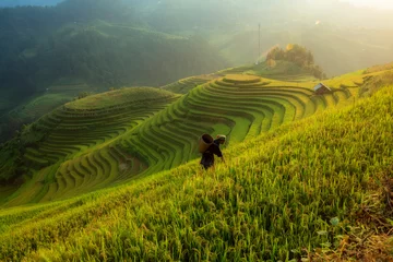 Foto op Plexiglas Mu Cang Chai Vietnamese landbouwer die aan het terraspadieveld werkt in Mu Cang Chai Vietnam.