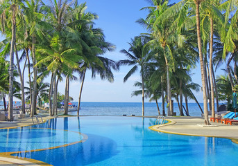Sea view swimming pool among the coconut trees.
