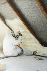 spray polyurethane foam for roof