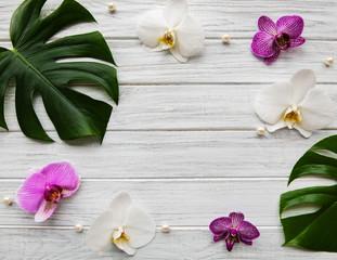 Tropical leaves monstera and  orchid flowers © Olena Rudo