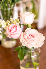 beautiful rose flower in vase