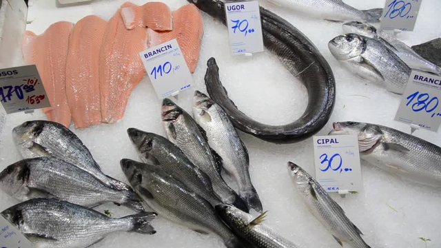 Fresh sea fish on a market. Seafood market. Fishmonger selling fish and seafood. Display of Pilchard. Fishmonger sold fresh fish.  European conger, European bass, Gilt-head bream on ice for sale on th