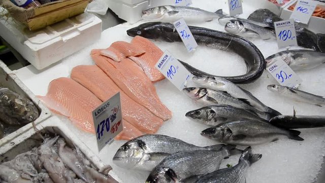 Fresh sea fish on a market. Seafood market. Fishmonger selling fish and seafood. Display of Pilchard. Fishmonger sold fresh fish.  European conger, European bass, Gilt-head bream on ice for sale on th