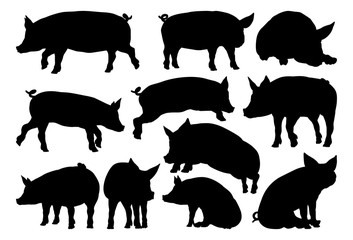 A pig silhouettes farm animal graphics set