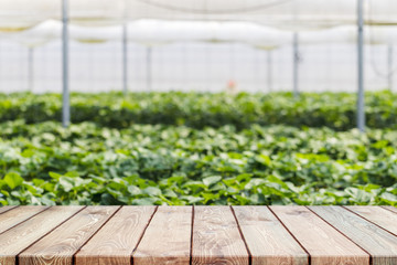 Empty wood table top and blurred greenhouses in agricultural farms. background - can used for...
