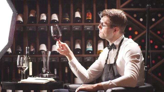 Wine degustator man taking notes in winery with wine bottles stacked in rows on the shelves. Bartender writing in notepad information of wine origin and taste.