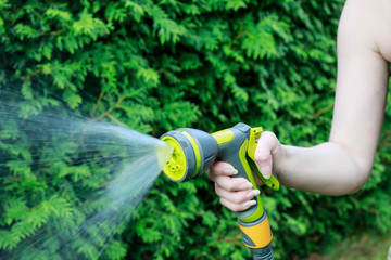 Watering plants. Woman holding garden hose.