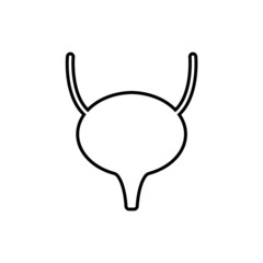 bladder icon. Vector illustration. Organ icon vector