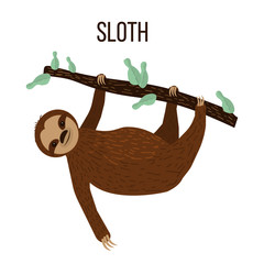 Cute sloth hanging on a tree