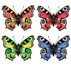 watercolor painted butterflies