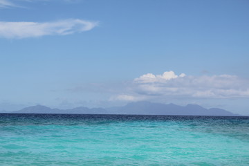 nature animals food gourmet france