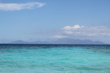 nature animals food gourmet france