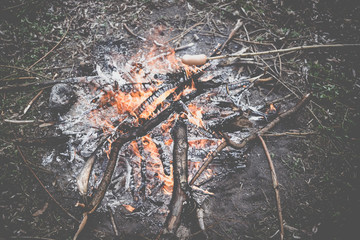 Cooking fried sausages on a fire in the forest
