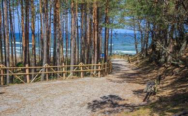 A path leading through forested dunes to beach of Debki,  Polish coast of Baltic Sea