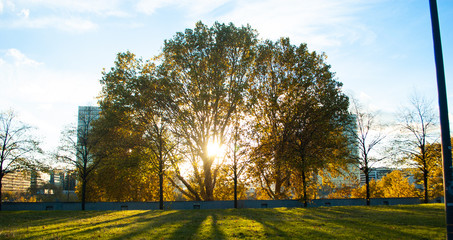 Fototapeta premium Verano parisino