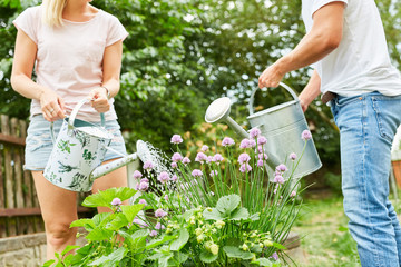 Paar als Hobbygärtner im Schrebergarten