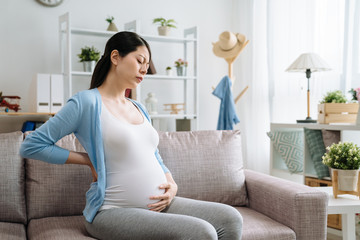 Healthcare treatment. young attractive pregnant woman on her second trimester sitting indoor on couch sofa touching aching back suffering from back pain. hurting waist sick discomfort mom at home.