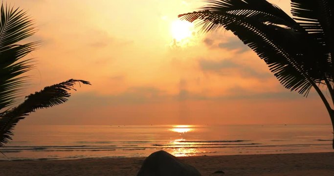 Beautiful Sunset in the Tropics on the Backdrop of the Ocean and Coconut Leaves. View of the Sunset Through the Leaves of the Coconut Palm on a Tropical Sea. Concept Vacation, Holiday.