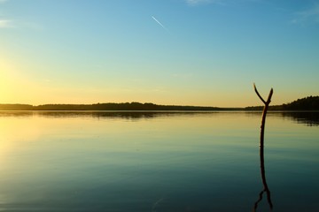 Blue water in a forest lake with reflection