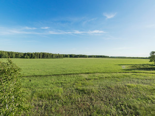 Obraz premium Green meadow and blue sky over grass field, rural landscape