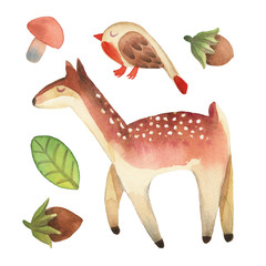 Sleepy cute little bird and deer with leaf, hazelnut and mushroom isolated on white background