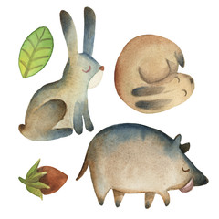 Fototapeta premium Sleepy cute little hare and boar with leaf, hazelnut isolated on white background
