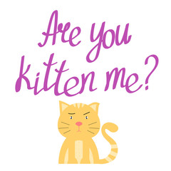 T-shirt template. Are you kitten me? Are you kidding me? Quote, image for t shirt with cat. Lettering. Colorful vector illustration	
