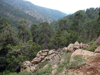 Landscape from the top of a rock of high mountain forests on the slopes of the mountain ridge...