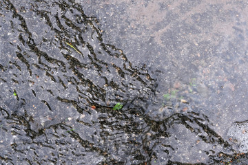 Abstract black background rainwater on asphalt close-up macro photography