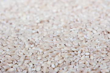 Heap of pearl barley grains