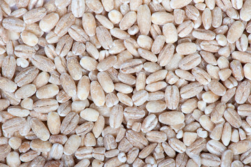 Heap of pearl barley grains