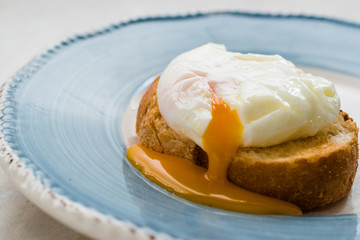 Poached Egg on Toast Bread for Breakfast.