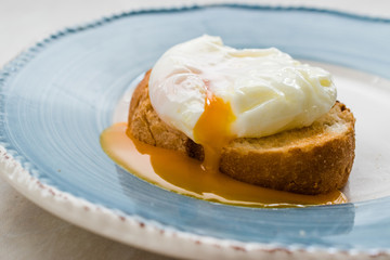 Poached Egg on Toast Bread for Breakfast.