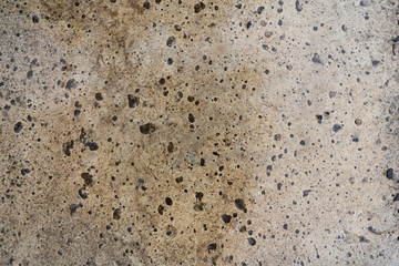 Texture. Yellow and grey stone shell with raindrops