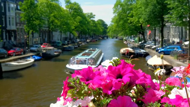 Amsterdam canal and flowers