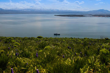 Fototapeta na wymiar Lake Sevan is the largest body of water in Armenia and in the Caucasus region. Blue expanses of water, mountains and meadow with flowers. Natural eco background with meadow.