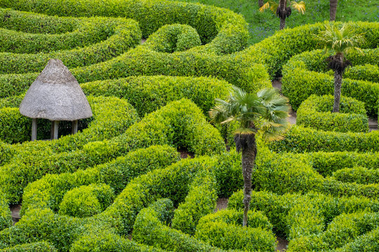 Green maze a puzzle to walk through 