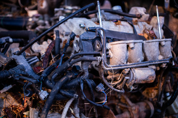 Parts of used cars sitting in junkyard