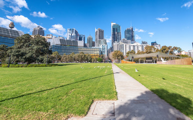 Fototapeta premium SYDNEY, AUSTRALIA - AUGUST 19, 2018: City skyscrapers from a beautiful park on a sunny day. Sydney attracts 15 million tourists annually