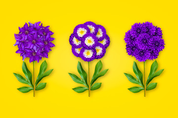 Three fancy flowers on an orange background. The composition of violet clematis, asters and dahlias. Art object. Minimalism.