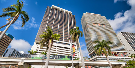 Buildings and monorail of Downtown Miami with palms on a sunny day
