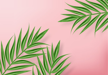 Tropic palm leaves Vector realistic background. Exotic summer card. Green fresh decors