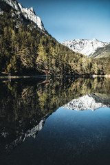 Obraz premium Fantastic azure alpine lake grüner see in austria during spring