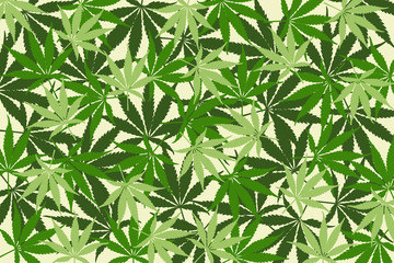 Obraz na płótnie Canvas leafs of cannabis background,abstract background
