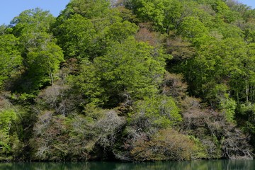 《十二湖の四季（落口の池）》青森県深浦町