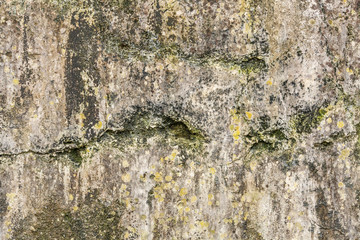 stone wall covered with lichen