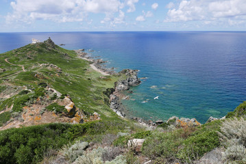 corse