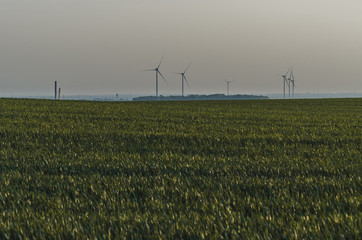 Green farm field at sunrise with the windmills and blue hills in the distance