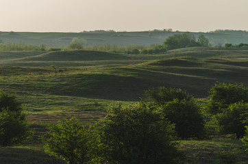 Hilly green meadow landscape in the early morning light